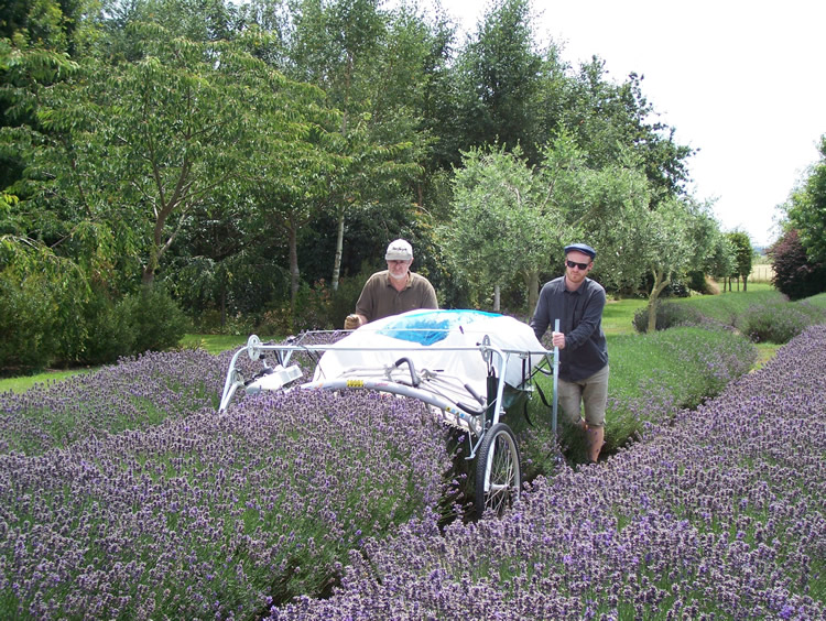 ht tom hi res in use1