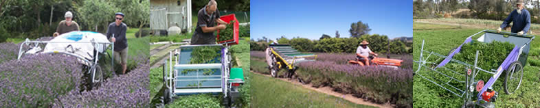 Montage of harvester images